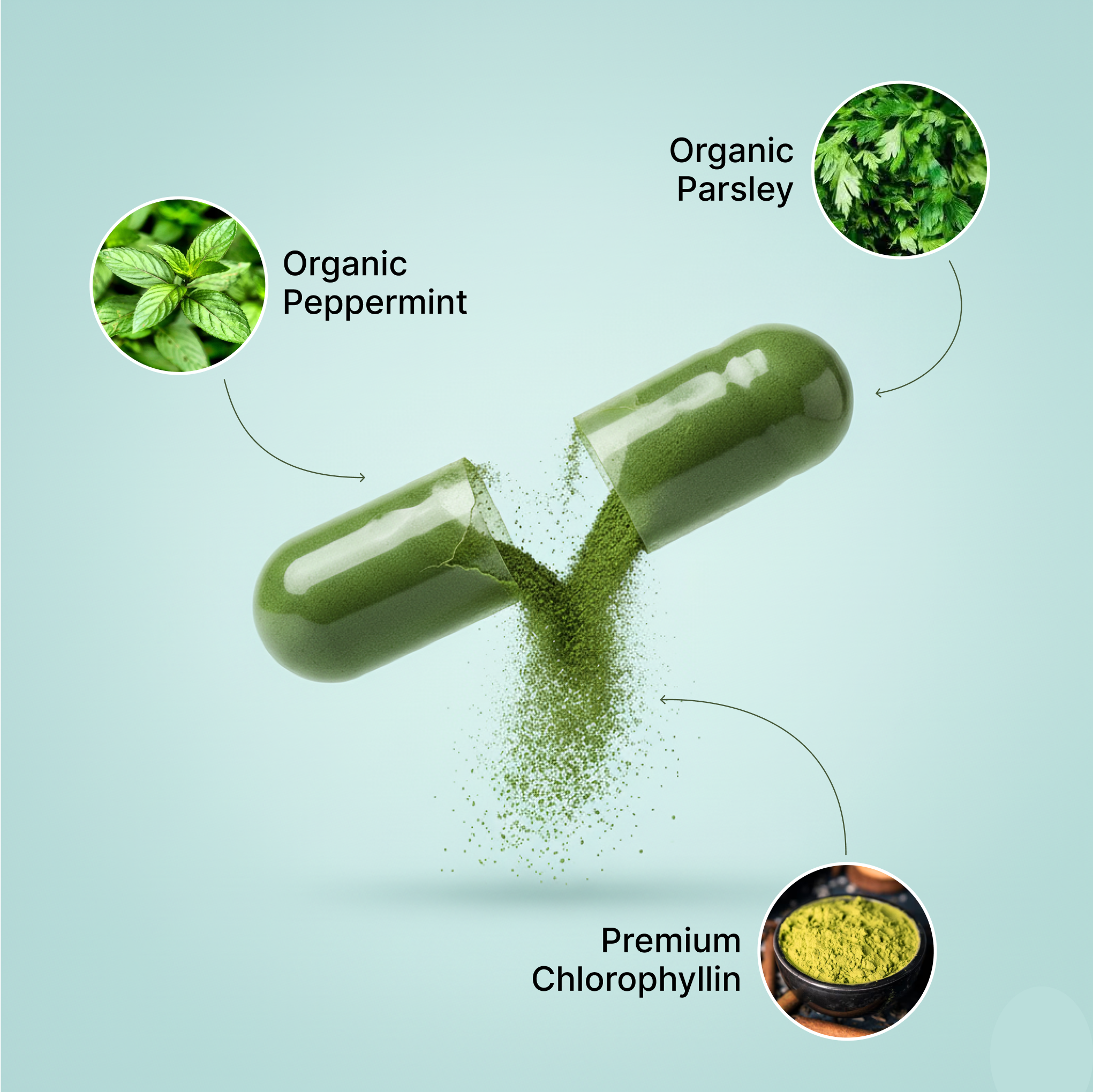 Get Fresher - 30 Day Supply